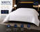 Caesar Duvet Cover 100% Cotton Sateen White 300 Tc